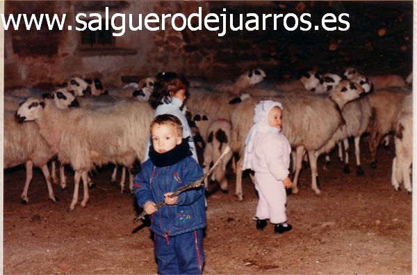 Ni&ntilde;os apartando ovejas