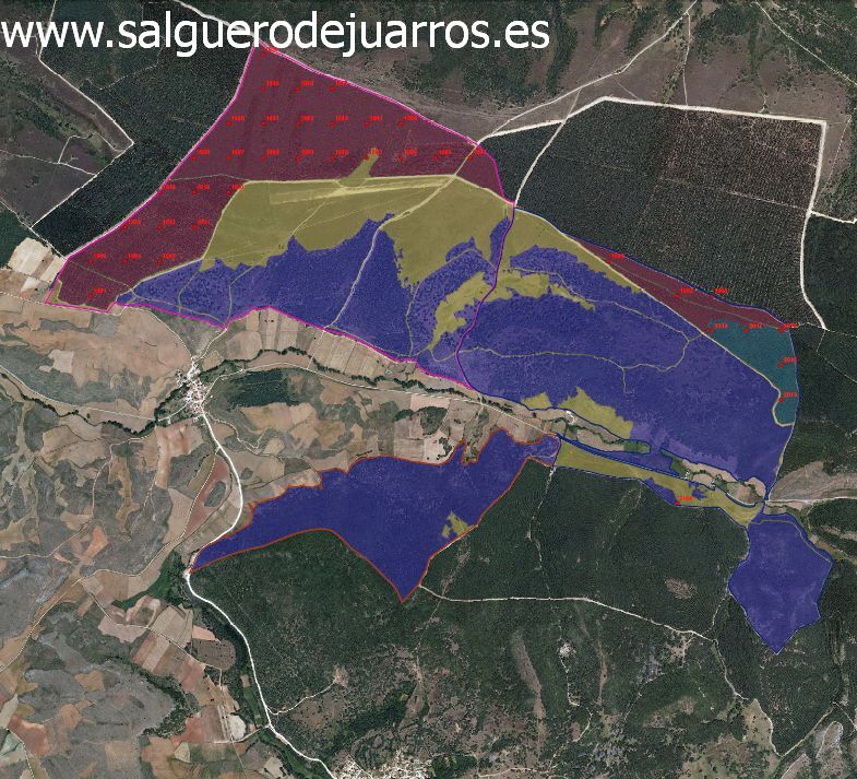 Clases de monte en Salgüero de Juarros