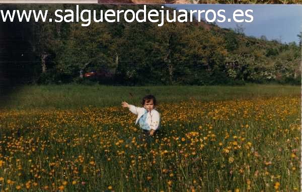 Ni&ntilde;a entre las flores