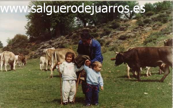 Ni&ntilde;os entre las vacas
