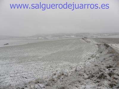 Desde las esquina del pinar hacia Carricueva. Todo nevado
