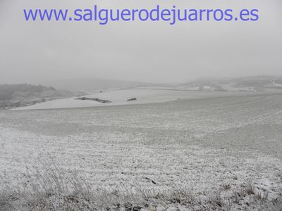 Desde las esquina del pinar hacia el pueblo. Todo nevado
