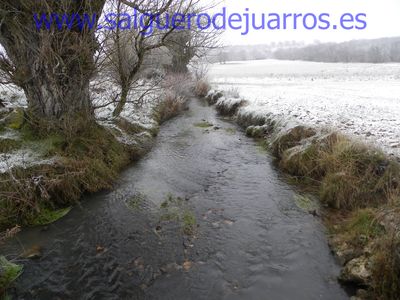 Desde el puente de la carretera de Arlazón, río abajo.
