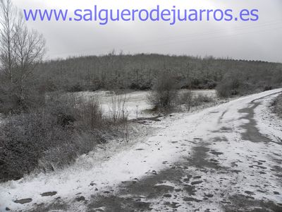 Desde el puente de Brieva, hacia Moralejos.