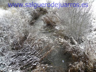 Nevada en enero 2015. Desde el Puente de Brieva.

