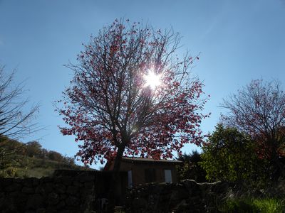 Contraluz
