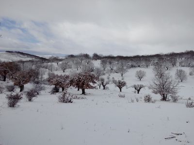 Invierno
