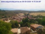 Recorre hacia atrás las últimas 24 horas
