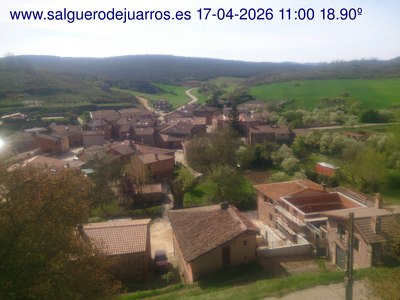 Recorre hacia atrás las últimas 24 horas
