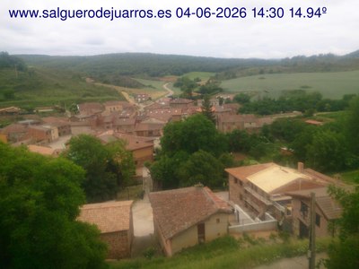 Recorre hacia atrás las últimas 24 horas
