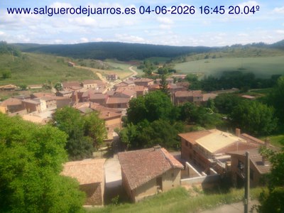Recorre hacia atrás las últimas 24 horas
