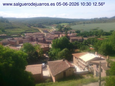Recorre hacia atrás las últimas 24 horas
