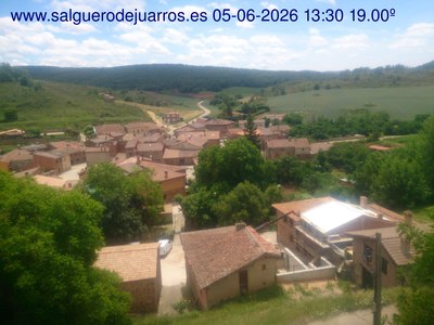 Recorre hacia atrás las últimas 24 horas
