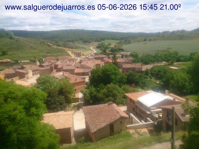 Recorre hacia atrás las últimas 24 horas
