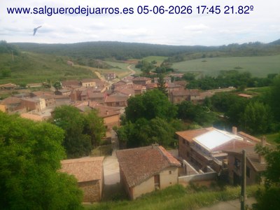 Recorre hacia atrás las últimas 24 horas

