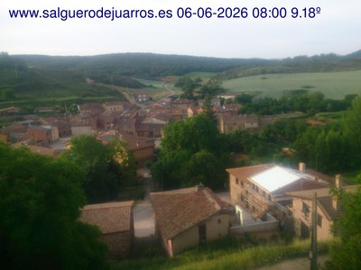 Recorre hacia atrás las últimas 24 horas
