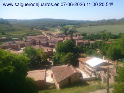 Recorre hacia atrás las últimas 24 horas
