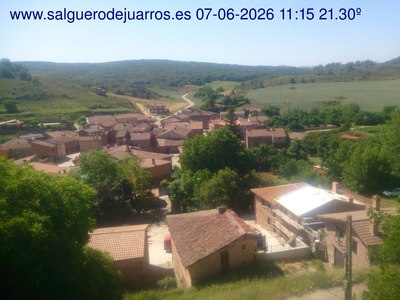 Recorre hacia atrás las últimas 24 horas
