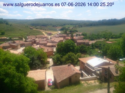 Recorre hacia atrás las últimas 24 horas
