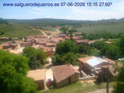 Recorre hacia atrás las últimas 24 horas
