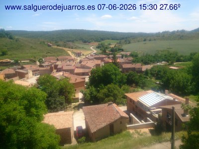 Recorre hacia atrás las últimas 24 horas
