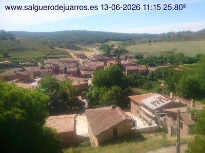 Recorre hacia atrás las últimas 24 horas
