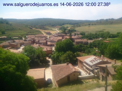 Recorre hacia atrás las últimas 24 horas
