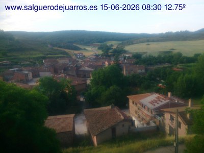 Recorre hacia atrás las últimas 24 horas
