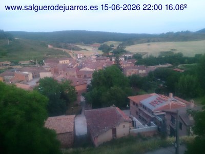 Recorre hacia atrás las últimas 24 horas
