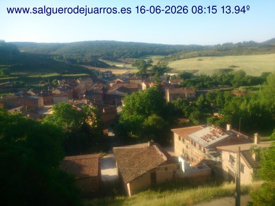 Recorre hacia atrás las últimas 24 horas
