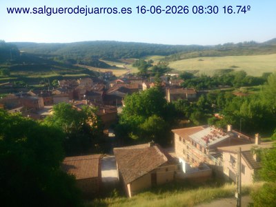 Recorre hacia atrás las últimas 24 horas
