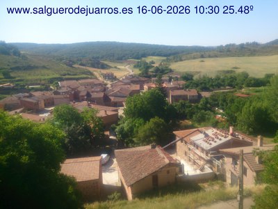 Recorre hacia atrás las últimas 24 horas
