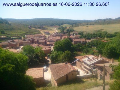Recorre hacia atrás las últimas 24 horas
