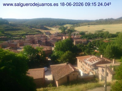 Recorre hacia atrás las últimas 24 horas
