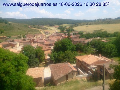 Recorre hacia atrás las últimas 24 horas

