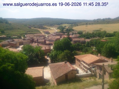 Recorre hacia atrás las últimas 24 horas
