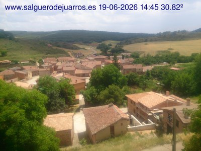 Recorre hacia atrás las últimas 24 horas
