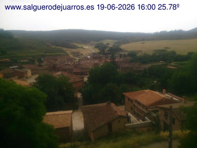 Recorre hacia atrás las últimas 24 horas
