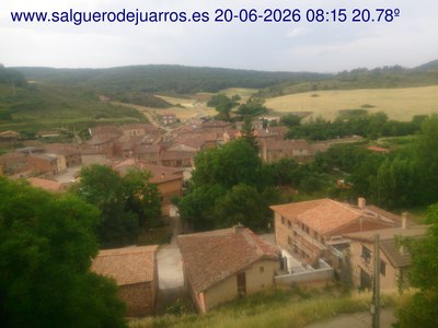 Recorre hacia atrás las últimas 24 horas
