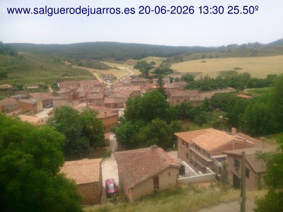 Recorre hacia atrás las últimas 24 horas

