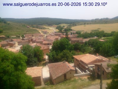 Recorre hacia atrás las últimas 24 horas
