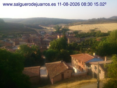 Recorre hacia atrás las últimas 24 horas
