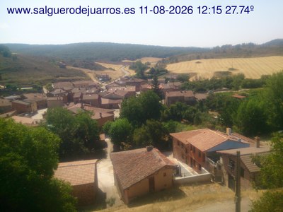 Recorre hacia atrás las últimas 24 horas
