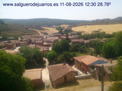 Recorre hacia atrás las últimas 24 horas
