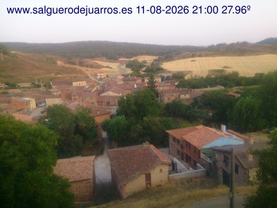 Recorre hacia atrás las últimas 24 horas
