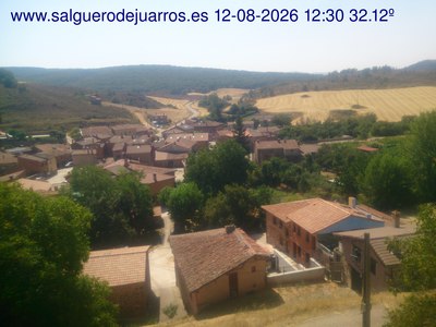 Recorre hacia atrás las últimas 24 horas
