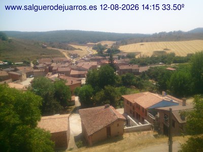 Recorre hacia atrás las últimas 24 horas
