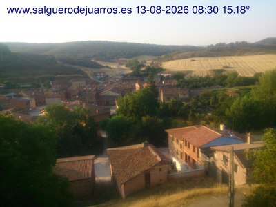 Recorre hacia atrás las últimas 24 horas
