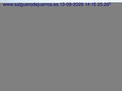 Recorre hacia atrás las últimas 24 horas
