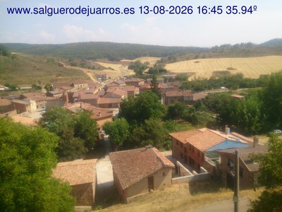 Recorre hacia atrás las últimas 24 horas

